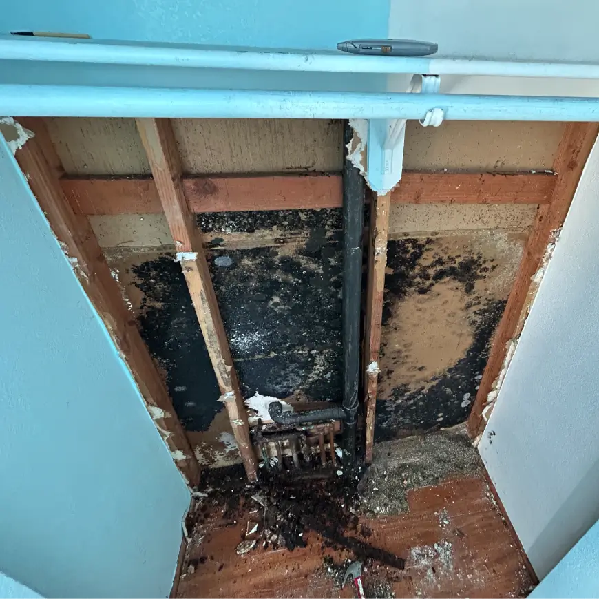 Damage-to-wood-drywall-andMold-found-behind-kids-closet-adjacent-to-bathroom-4peaks-restoration
