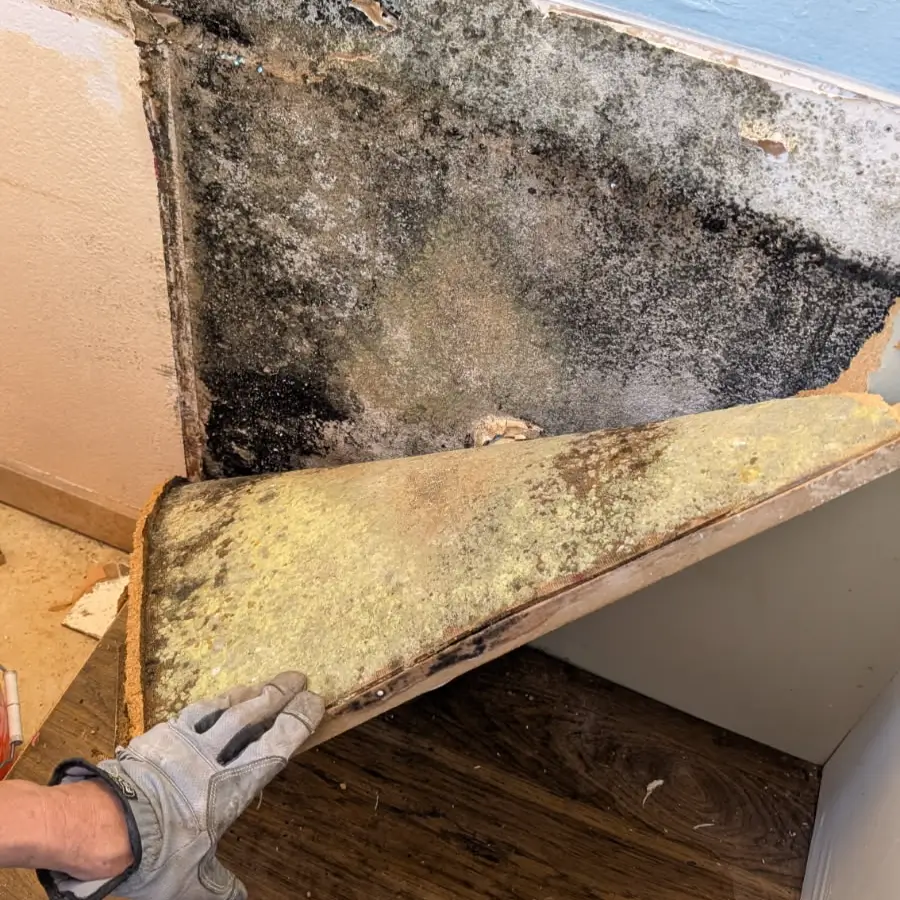 Respiratory-issues-and-allergies-Mold-behind-adjacent-wall-behind-vanity-4peaks-restoration