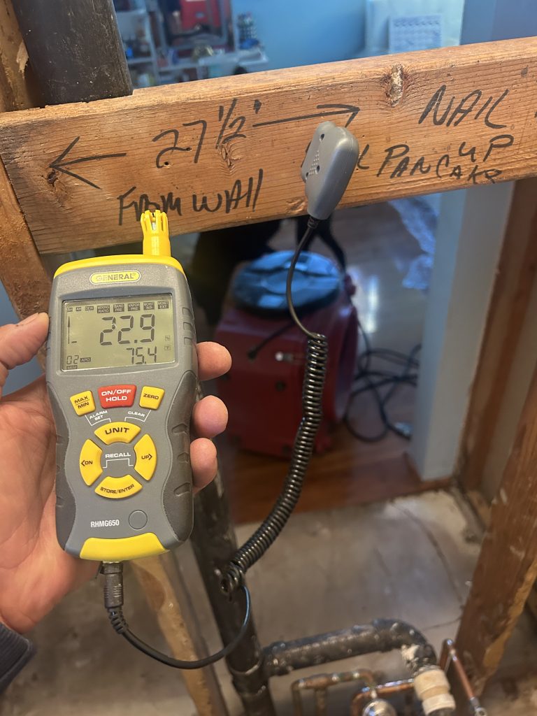 Checking for Mold in a home