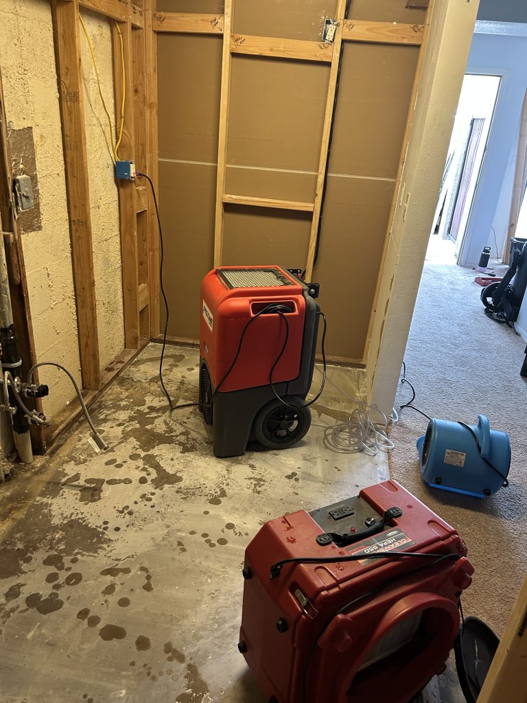 Mold Removal