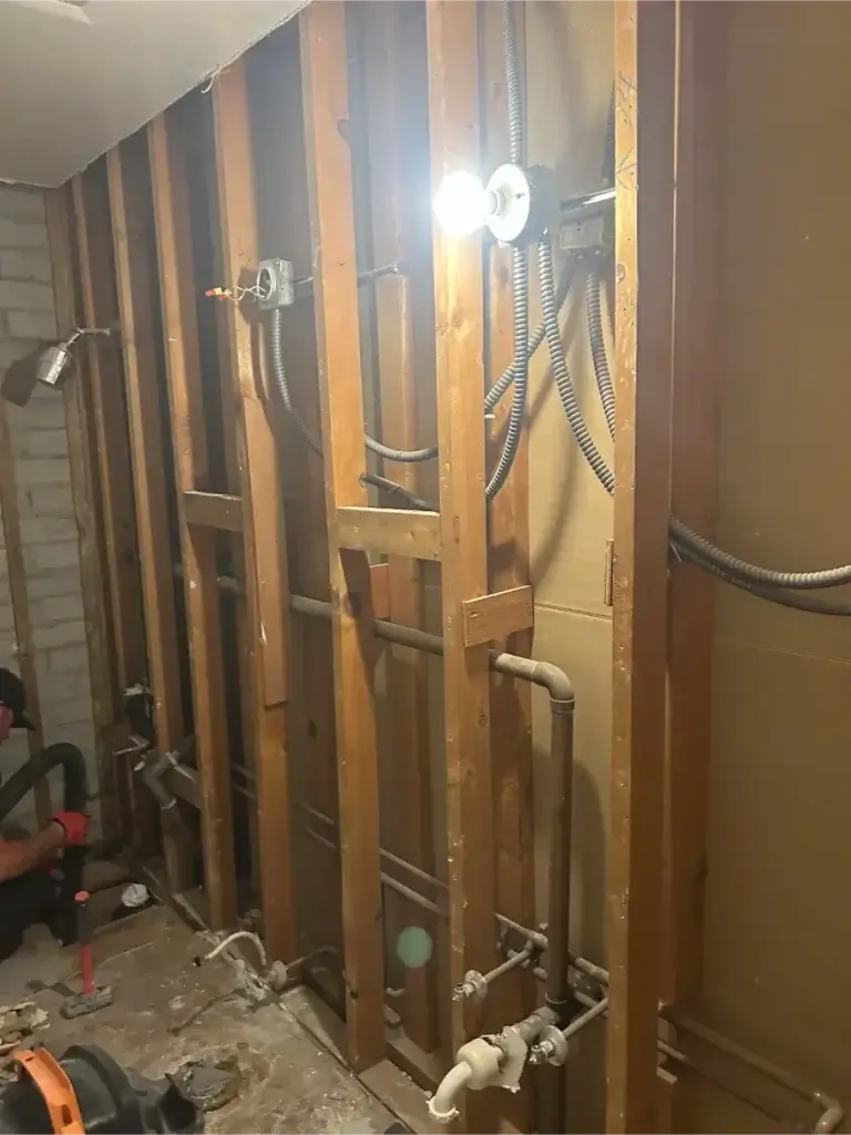 apartment mold remediation Phoenix AZ