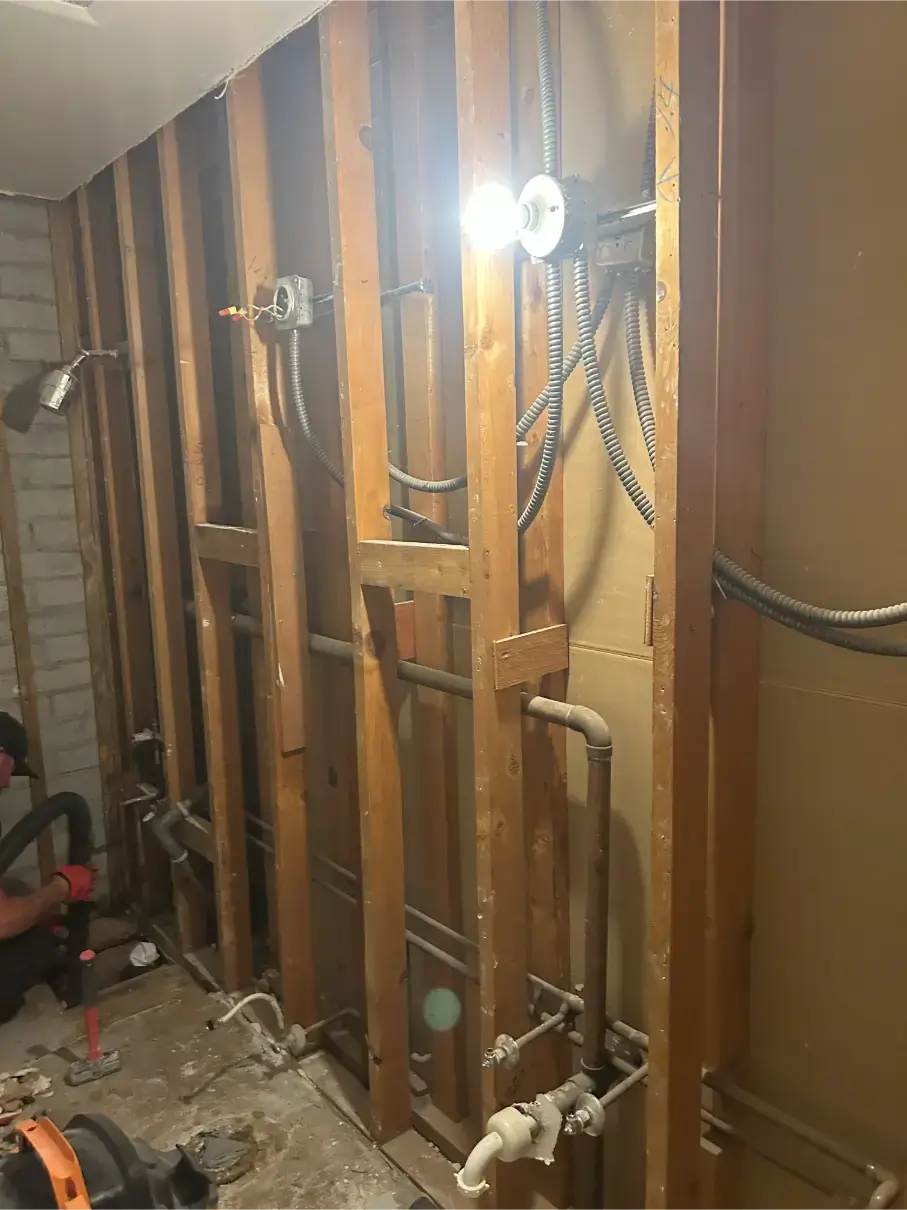 apartment mold remediation Phoenix AZ