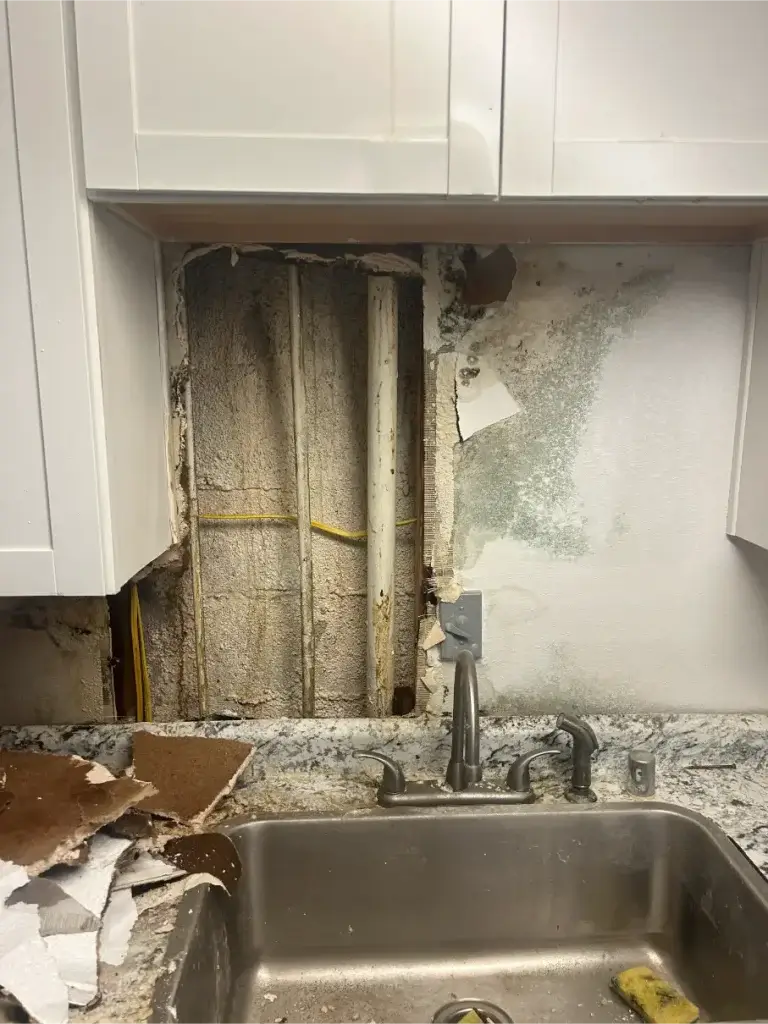 mold remediation after water leak Scottsdale AZ