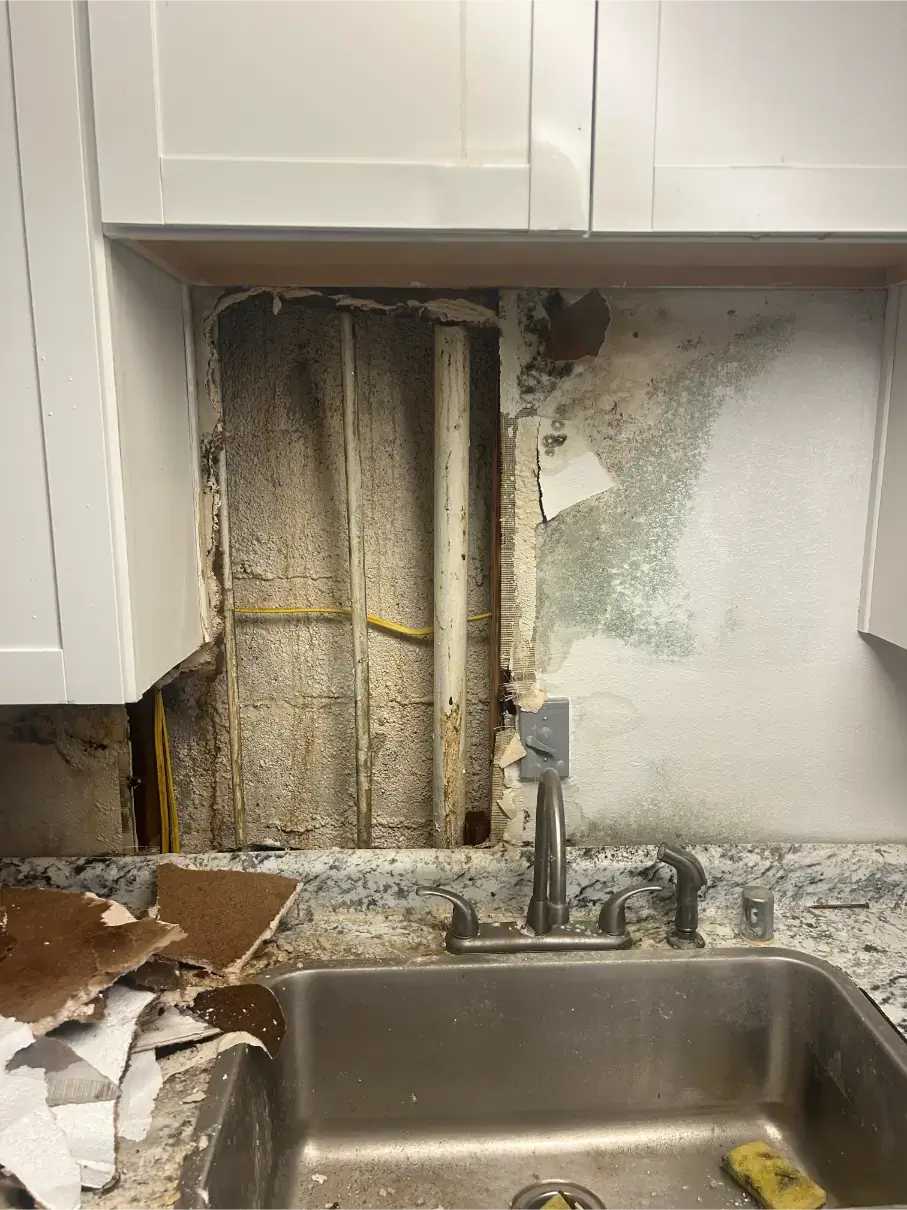 mold remediation after water leak Scottsdale AZ