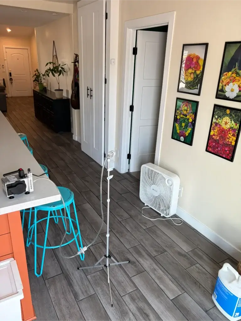 Professional Mold Testing Phoenix