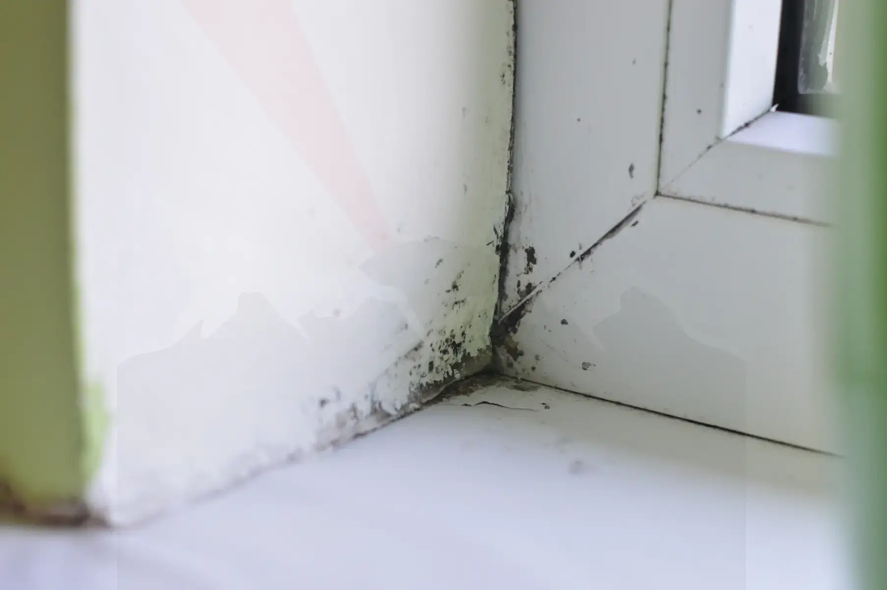 Professional Mold Testing in Gilbert AZ