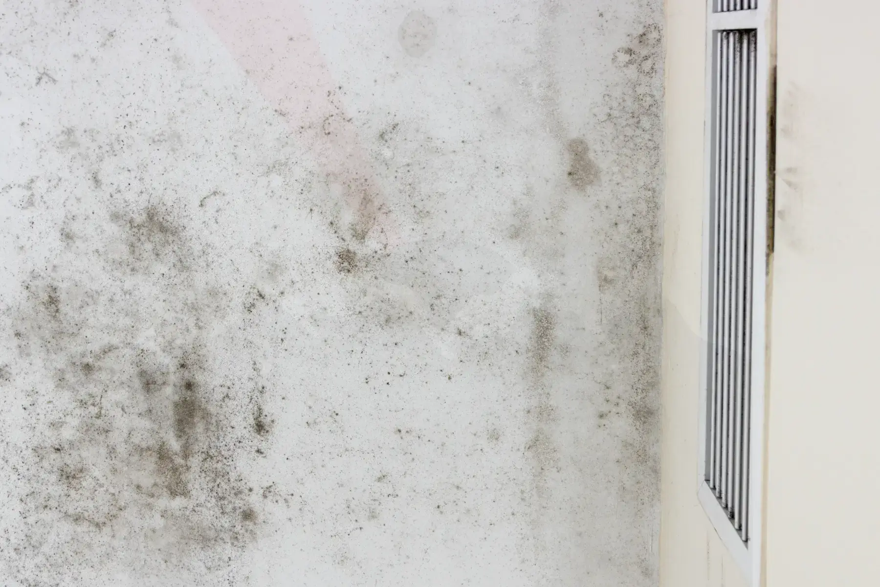 Professional Mold Testing in Glendale AZ