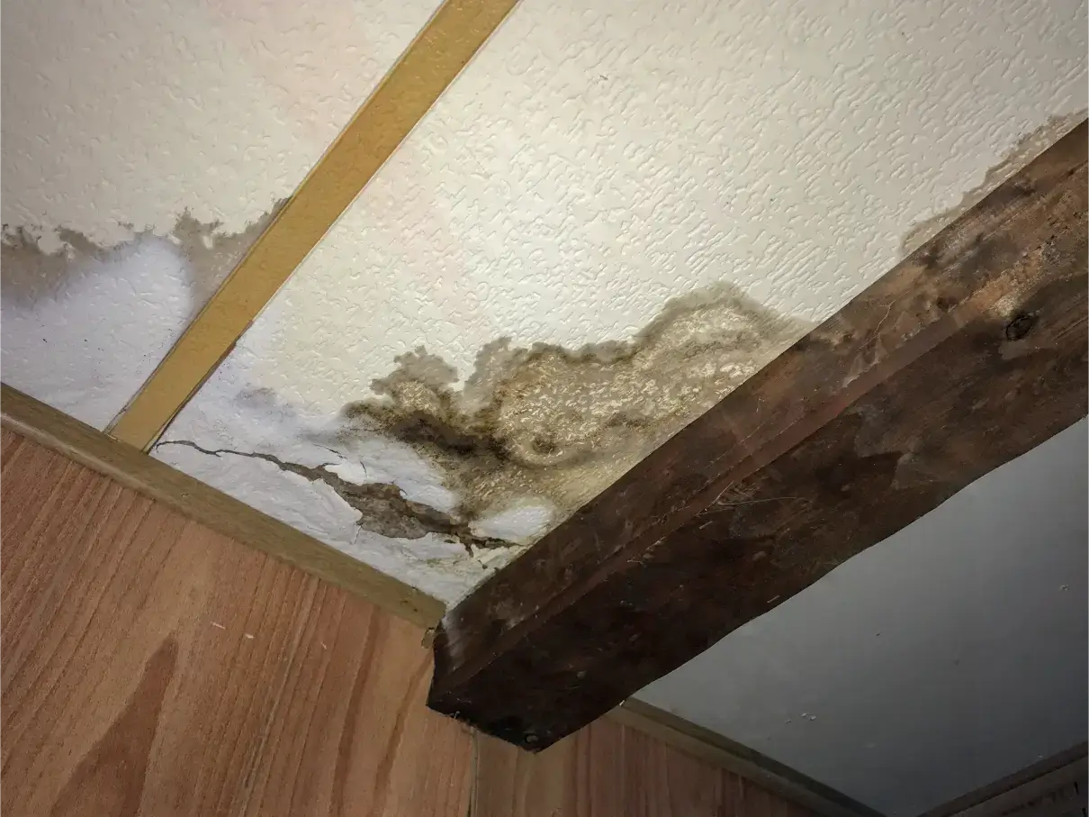 Professional Mold Testing in Peoria AZ
