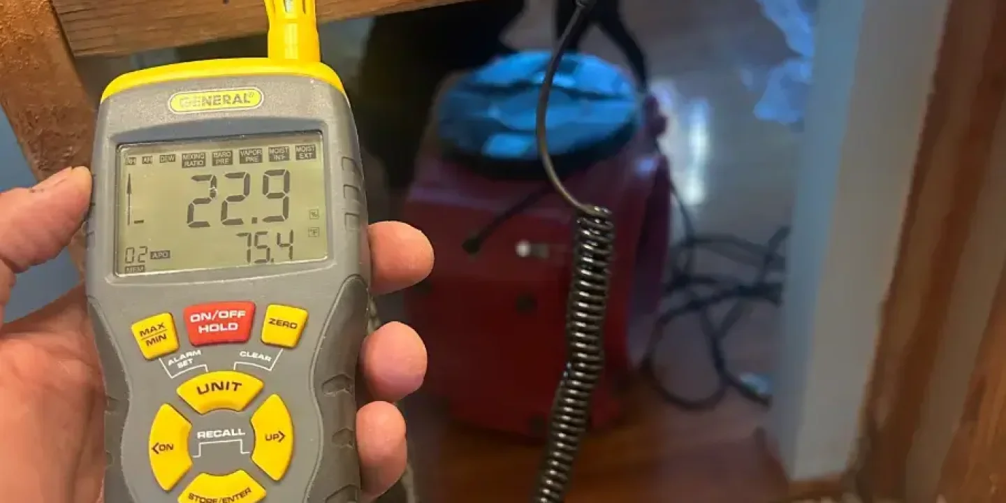 hidden mold remediation Gilbert AZ