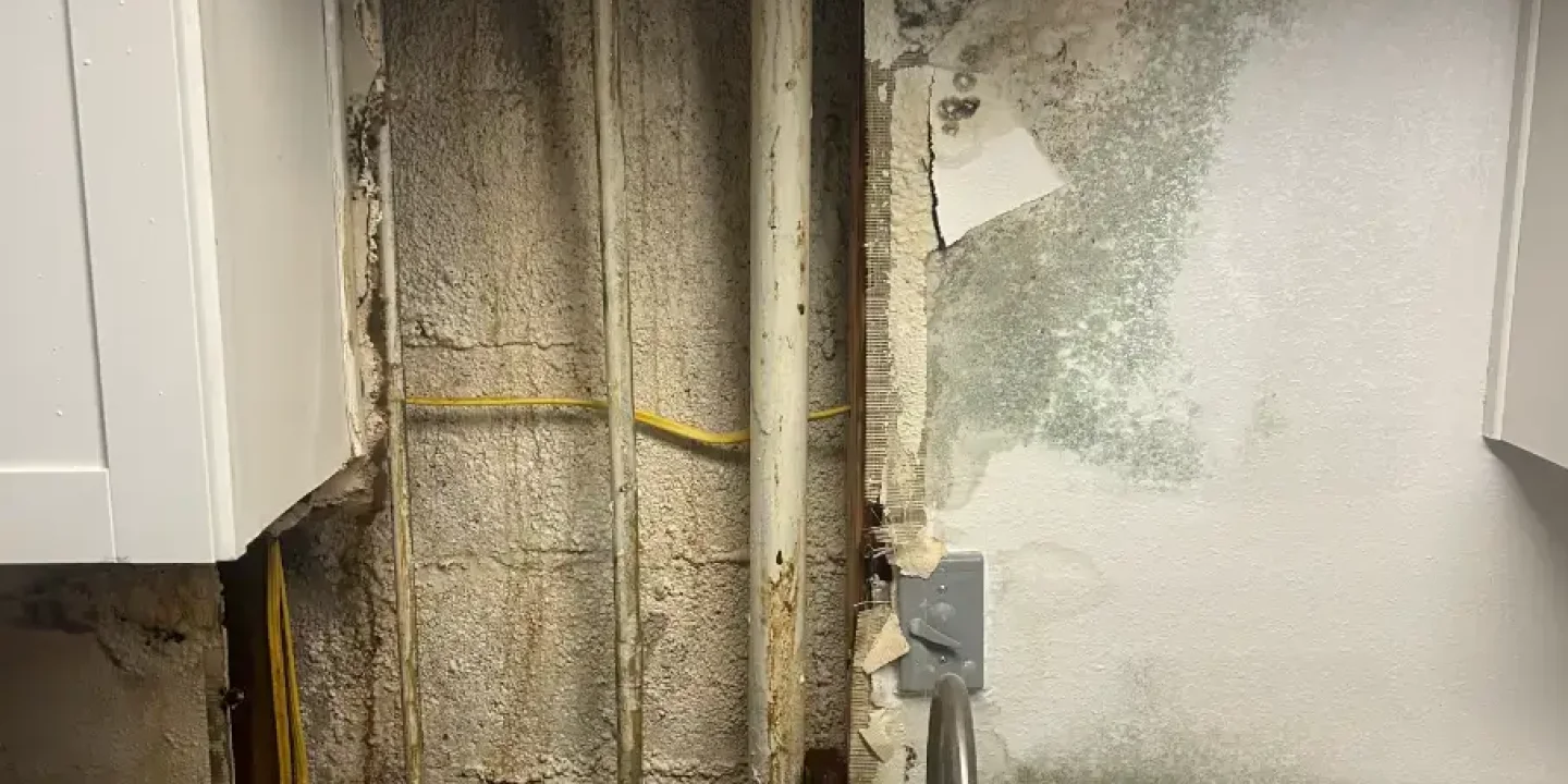 mold remediation after water leak Scottsdale AZ